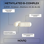 Complejo B Metilado 11-en-1: 680mcg L-Metilfolato (5-MTHF), Tiamina (B1), Riboflavina (B2), Piridoxal (B6), Metilcobalamina (B12) - Vitamina D3 + Nootrópicos - 1,100mg+ por ración - 60 Cápsulas