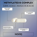 Suplemento Nootrópico 11-en-1 con Ginkgo, Bacopa y Complejo B Activo