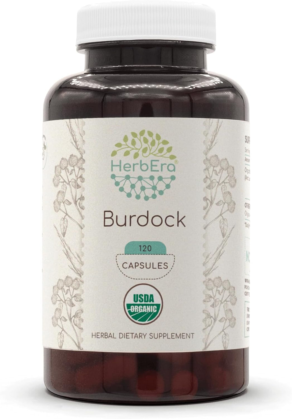 HerbEra Bardana Orgánica USDA - 60 Cápsulas - Suplemento Herbal Natural con Raíz de Bardana (Arctium lappa) Orgánica Certificada - Cápsulas Vegetarianas