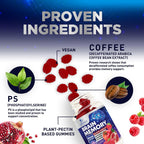 Nature's Nutrition Gominolas para Memoria y Concentración - Suplemento Cerebral 3X con Vitamina B6, B12 y Fosfatidilserina - 60 Gominolas