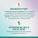 NEURIVA Memory 3D - Suplemento para Memoria y Concentración con Vitaminas B12, B6 y Ácido Fólico, 50 Cápsulas