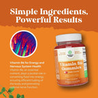 Potent Vitamin B6 Gummies for Adults - Suplemento de Vitamina B6 en Gominolas Veganas para Hombres y Mujeres - 30 Unidades