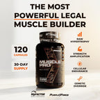 Enhanced Labs Muscle Pro - Potenciador Muscular 5 en 1 para Hombres - Epicatequina, Turkesterona, RipFACTOR® - 120 Cápsulas