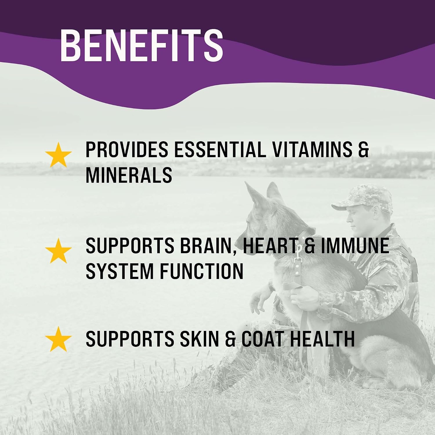 Dr. Boe's Veterinary Essentials MultiPup Vitamin Chews - Complemento multivitamínico para perros