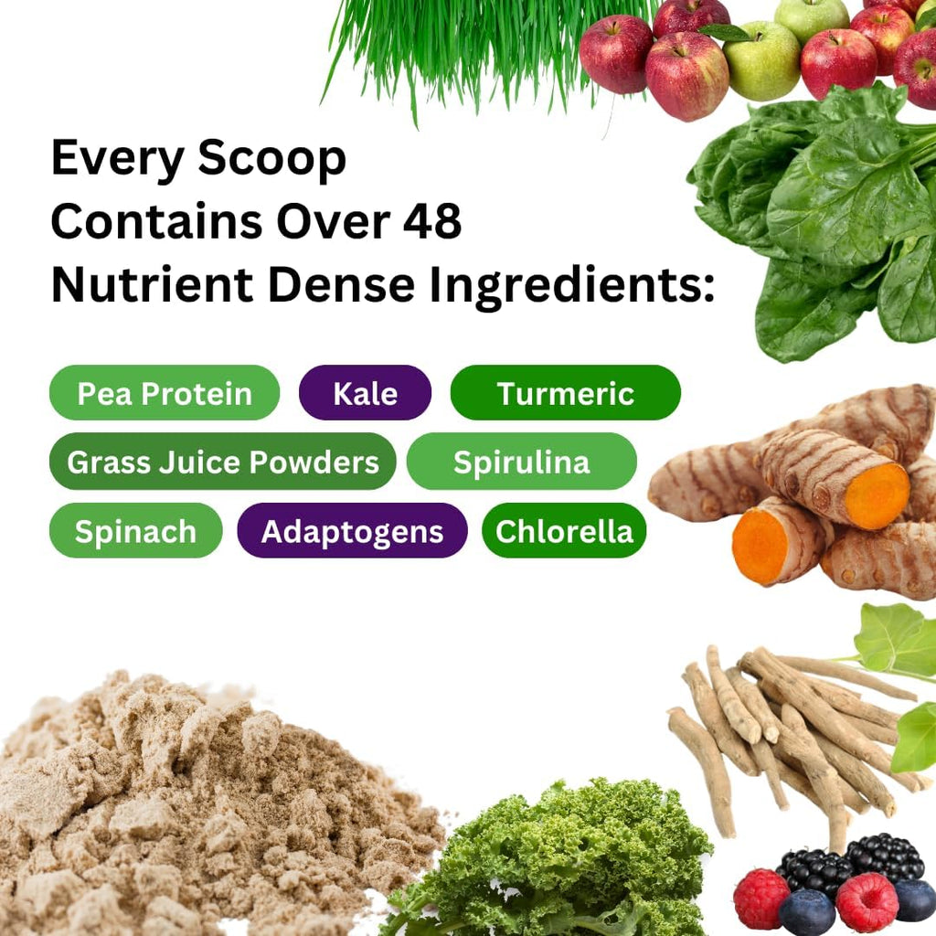 Paradise Herbs ORAC Energy Proteínas y Verduras en Polvo - Vainilla, 14 raciones
