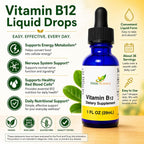 Herb-Science Vitamina B12 Líquida – Gotas Sublinguales de Cianocobalamina, Vegano, Sin Alcohol, 30 ml