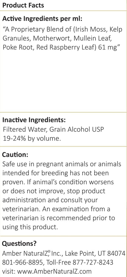 Amber NaturalZ TYD Thyroid Balance - – Irish Moss (Musgo de Irlanda): Conocido por su alto contenido en minerales – Image 7