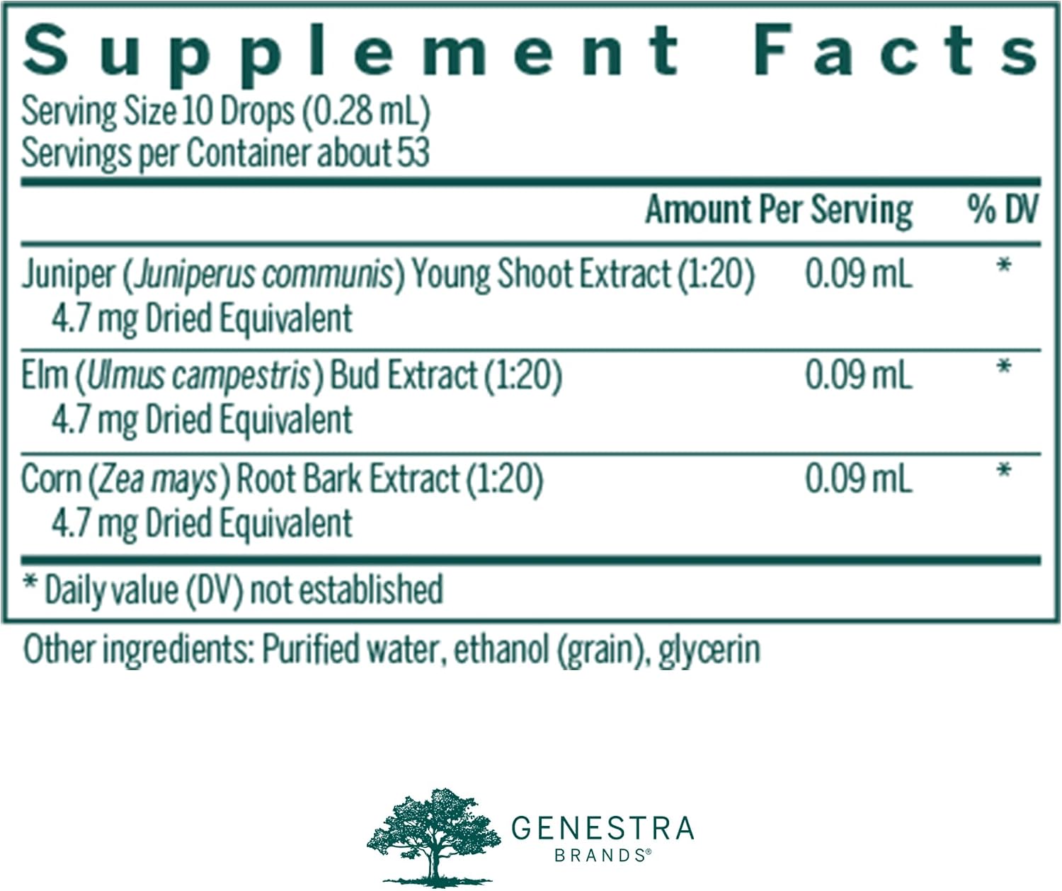 Genestra Brands Renal-gen | Suplemento herbario de enebro, olmo y maíz | 15 ml
