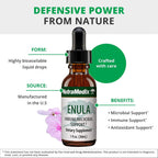 NutraMedix Enula Gotas Líquidas - Extracto de Raíz de Elecampane y Jalapa para Apoyo Inmunológico y Antioxidante - Suplemento Herbal Biodisponible (30 ml)