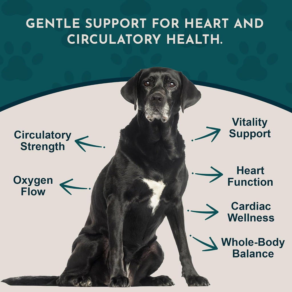 Animal Essentials Heart Health para Perros y Gatos - Suplemento Cardiovascular, Espino Blanco Orgánico, Tintura Herbal - 60 ml