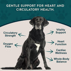 Animal Essentials Heart Health para Perros y Gatos - Suplemento Cardiovascular, Espino Blanco Orgánico, Tintura Herbal - 60 ml