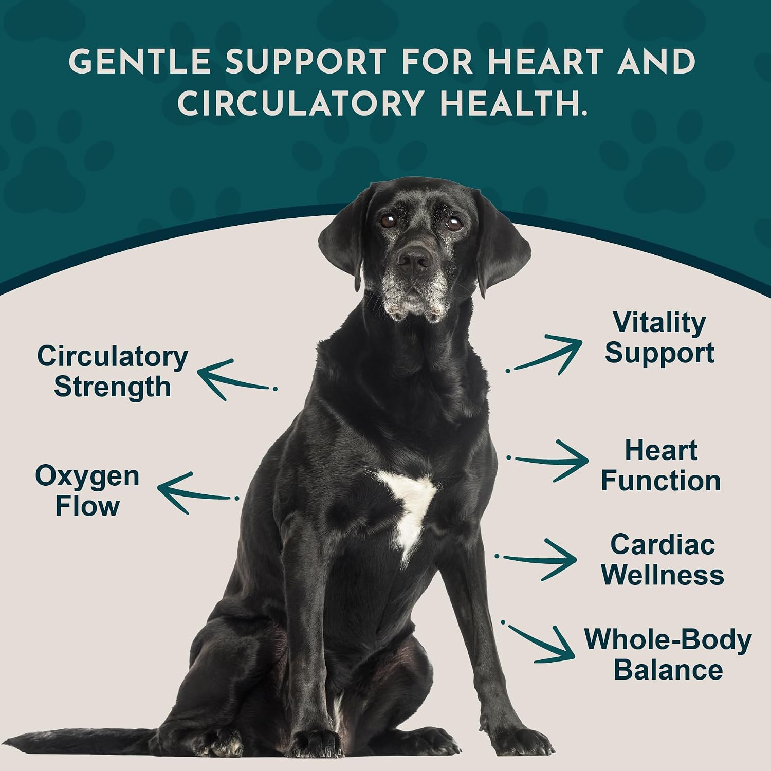 Animal Essentials Heart Health para Perros y Gatos - Suplemento Cardiovascular, Espino Blanco Orgánico, Tintura Herbal - 60 ml