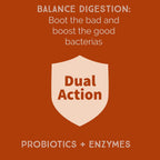 Bacillus B3 Probiótico de Esporas + Enzimas, 60 Cápsulas