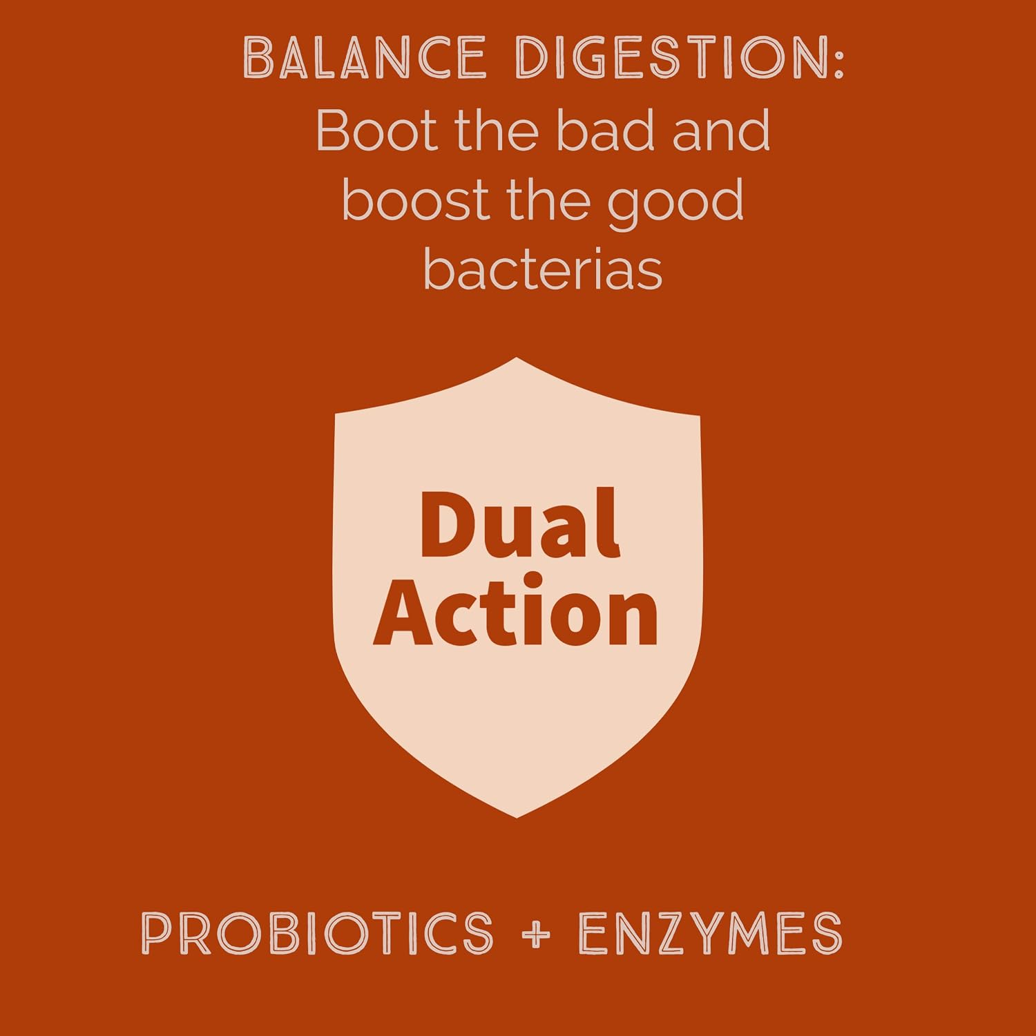 Bacillus B3 Probiótico de Esporas + Enzimas, 60 Cápsulas