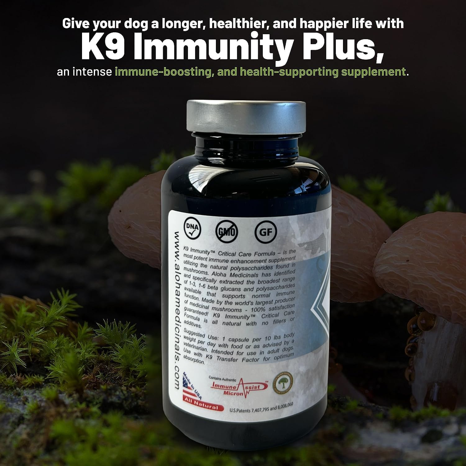 Aloha Medicinals K9 Immunity, 90 Cápsulas - Suplemento Inmunitario para Perros