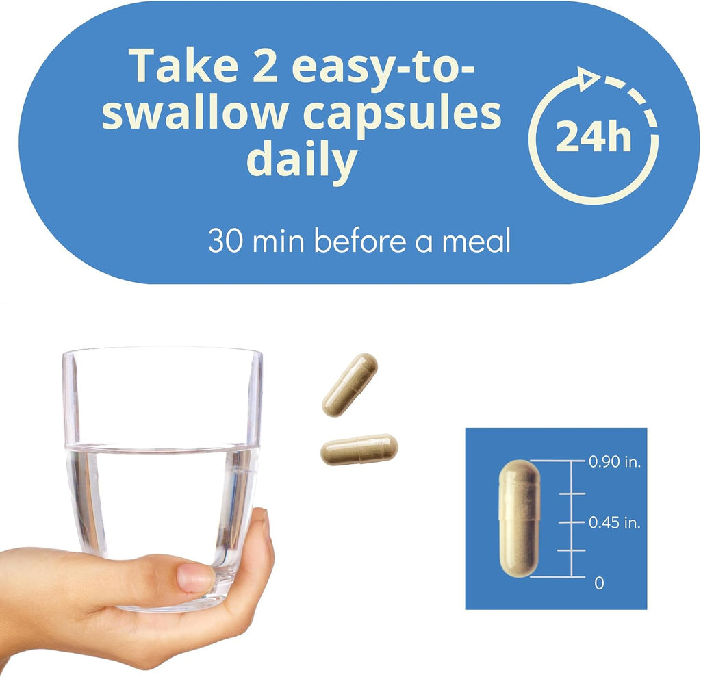 Brain Health Nootropic Supplement – Lion's Mane 200mg, Gotu Kola 200mg, Choline 80mg, Beetroots 100mg, Skullcap 400mg