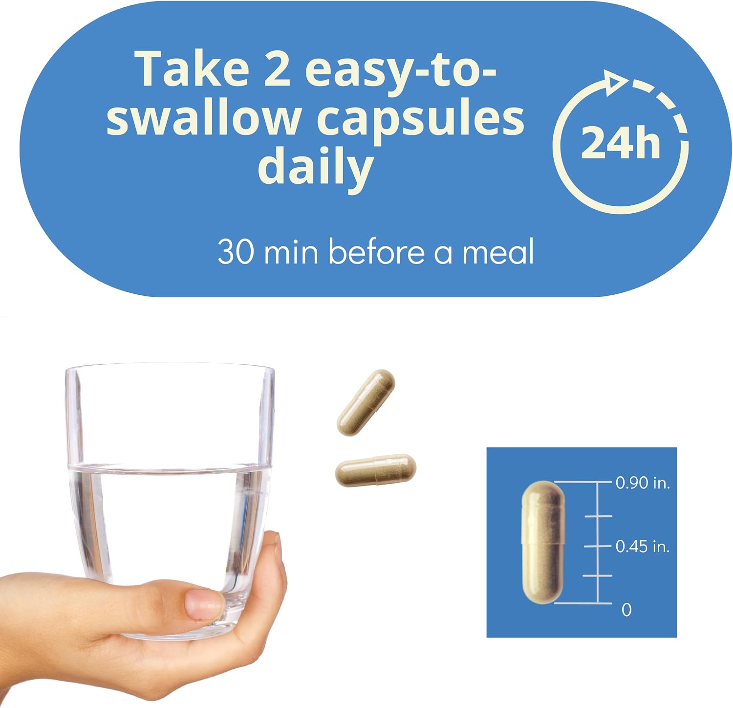 Brain Health Nootropic Supplement – Lion's Mane 200mg, Gotu Kola 200mg, Choline 80mg, Beetroots 100mg, Skullcap 400mg