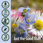 Nature's Answer Eyebright Herb – Eyebright Extract 2000 mg – Alcohol-Free, Vegan, Gluten-Free, Kosher