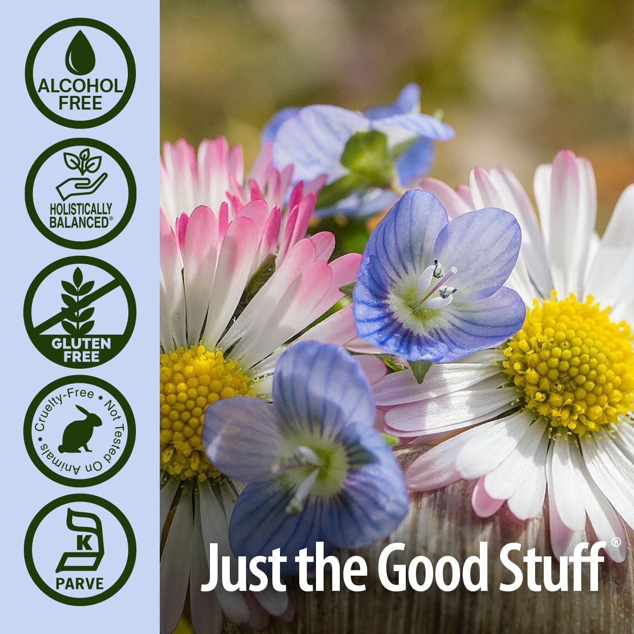 Nature's Answer Eyebright Herb – Eyebright Extract 2000 mg – Alcohol-Free, Vegan, Gluten-Free, Kosher