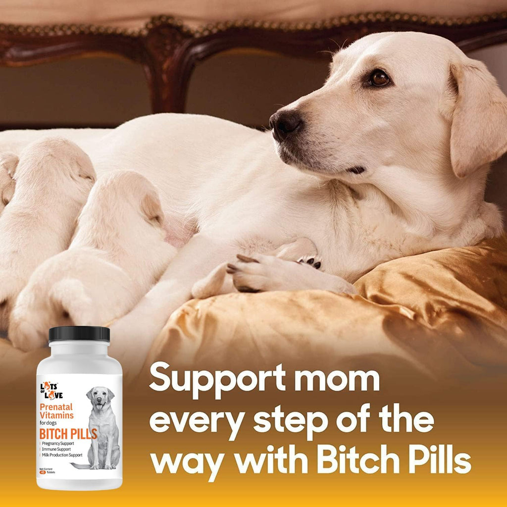 Bitch Pills - Vitaminas prenatales para perras gestantes - 45 comprimidos
