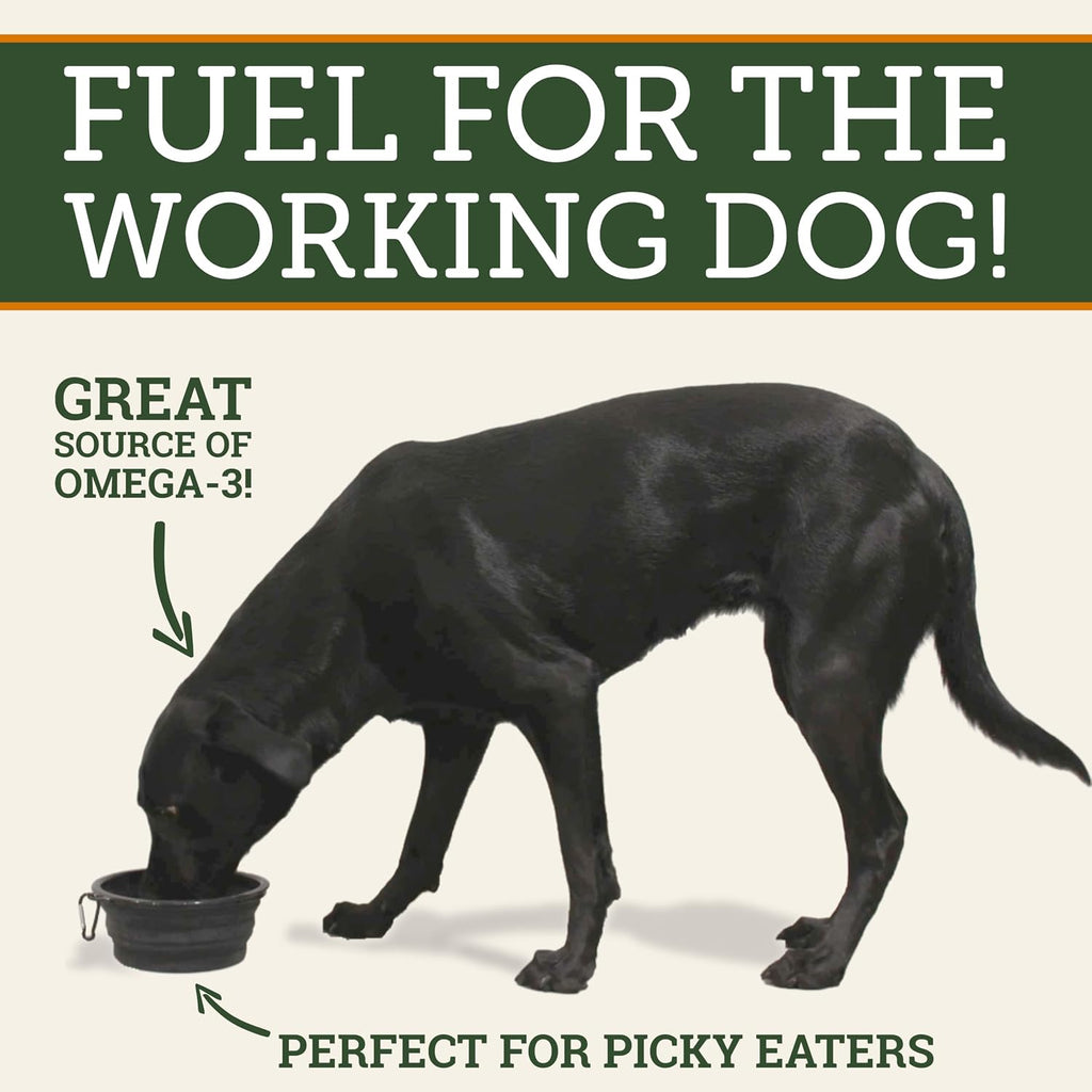 DogBone Omega 3 Fish Oil for Dogs - EPA + DHA Supplement for Hip & Joint, Heart, Skin Support - Omega 6 Fatty Acids - Help Hunting Dog Recovery - Improve Puppy, Senior Canine Health - 946ml Pump Bottle