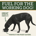 DogBone Omega 3 Fish Oil for Dogs - EPA + DHA Supplement for Hip & Joint, Heart, Skin Support - Omega 6 Fatty Acids - Help Hunting Dog Recovery - Improve Puppy, Senior Canine Health - 946ml Pump Bottle