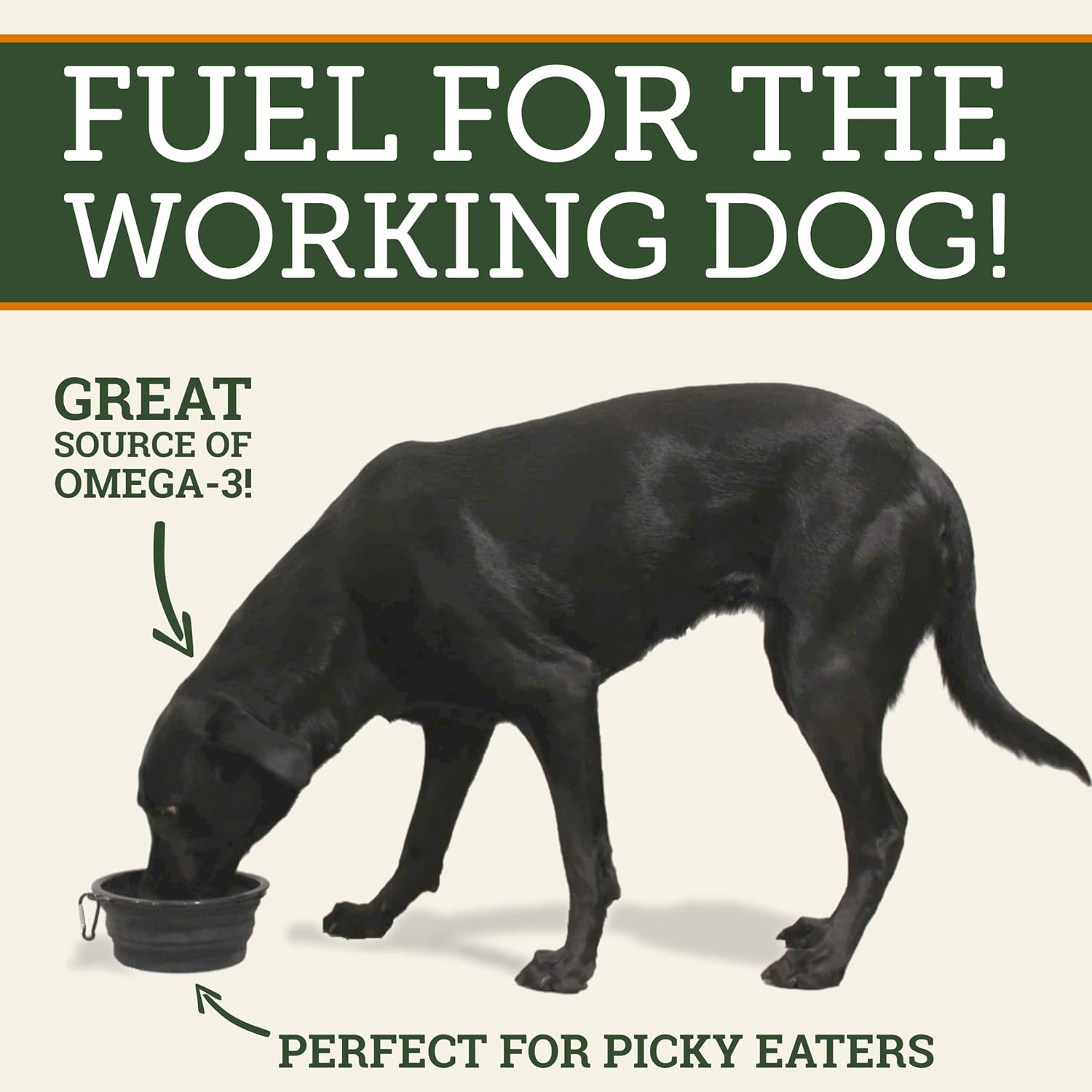 DogBone Omega 3 Fish Oil for Dogs - EPA + DHA Supplement for Hip & Joint, Heart, Skin Support - Omega 6 Fatty Acids - Help Hunting Dog Recovery - Improve Puppy, Senior Canine Health - 946ml Pump Bottle