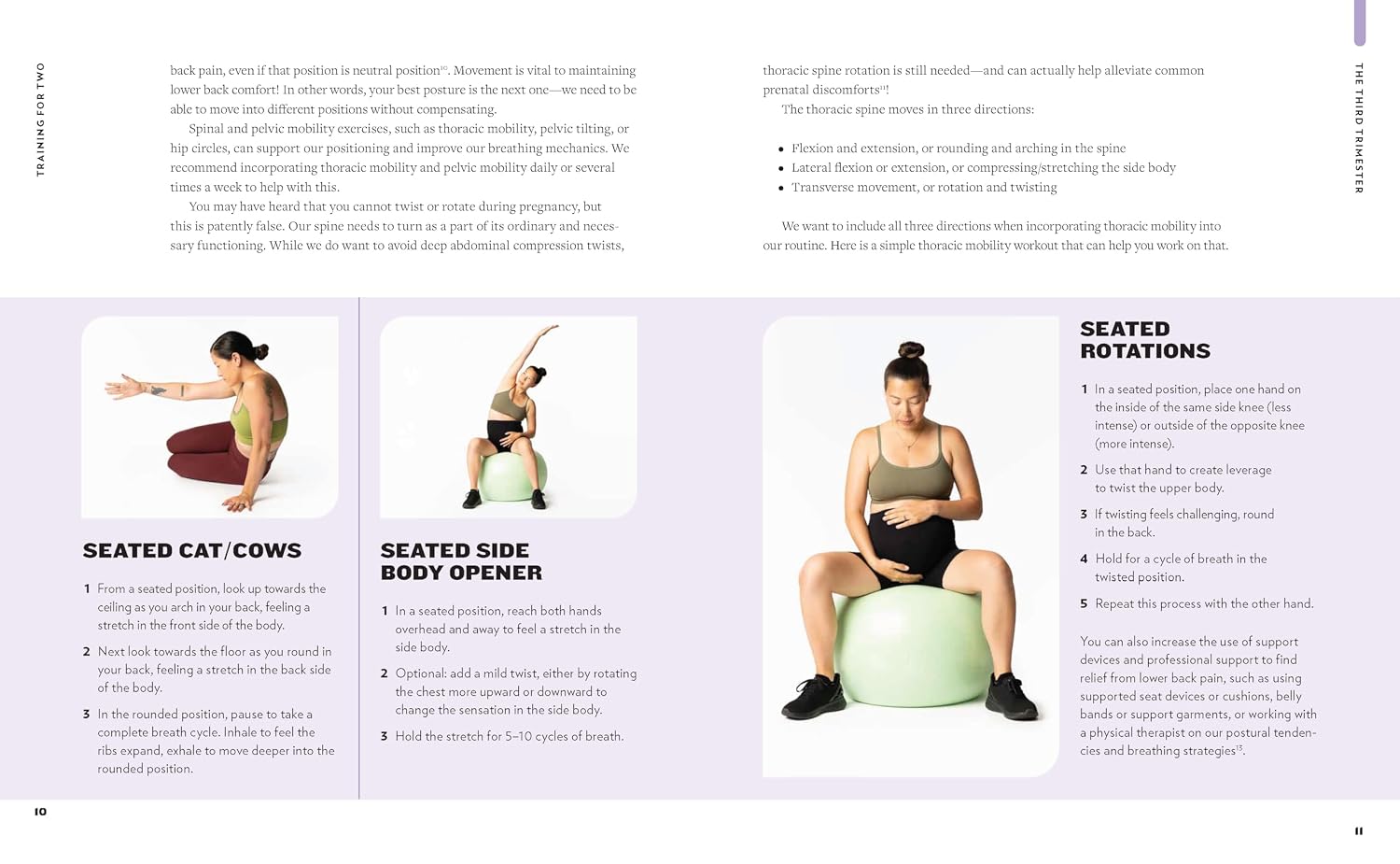 Training for Two: Safe & Smart Prenatal Exercises for a Smoother Pregnancy, Easier Birth, & Healthier Newborn - 90+ Resistance, Mobility, Birth Prep, & Labor Support Exercises