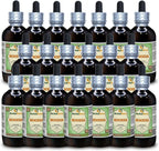 Hoodia (Hoodia Gordonii) Glycerite, Extracto Líquido Sin Alcohol (Marca: HerbalTerra) 20x120 ml