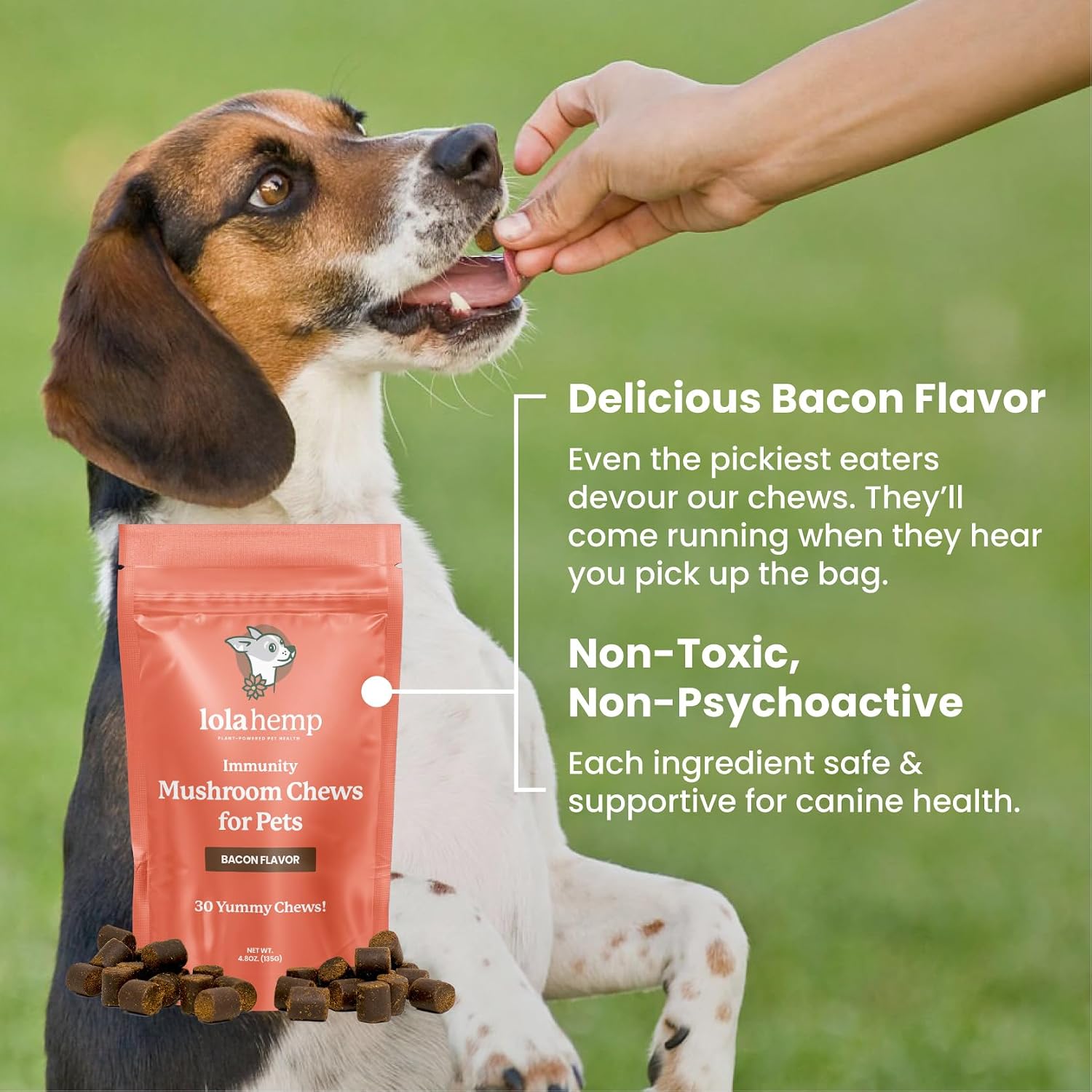 Suplemento de setas para perros - Masticables con setas orgánicas para inmunidad y cognición - Cola de pavo, Reishi, Shiitake, Maitake, Melena de león