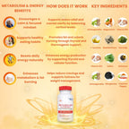 Adrenalwork Complemento para el Estrés con Ashwagandha Orgánica, Rhodiola y Albahaca Santa – 60 Cápsulas
