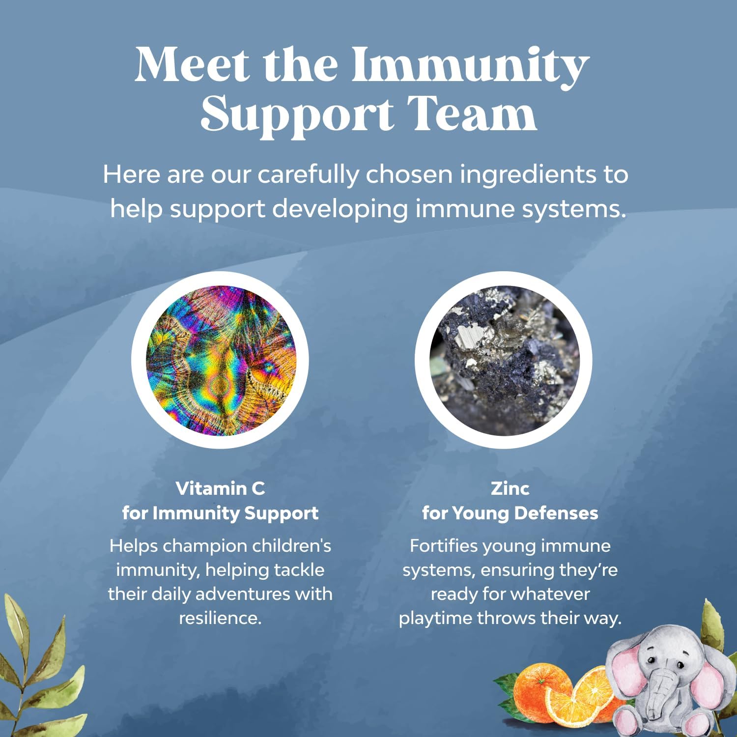 Gominolas de Refuerzo Inmunológico para Niños - Vitamina C, Zinc y Equinácea - Veganas sin Gluten