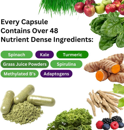 Paradise Herbs Earth's Blend Multivitamínico – Función inmunitaria: las vitaminas C, D y el zinc contribuyen al – Image 2