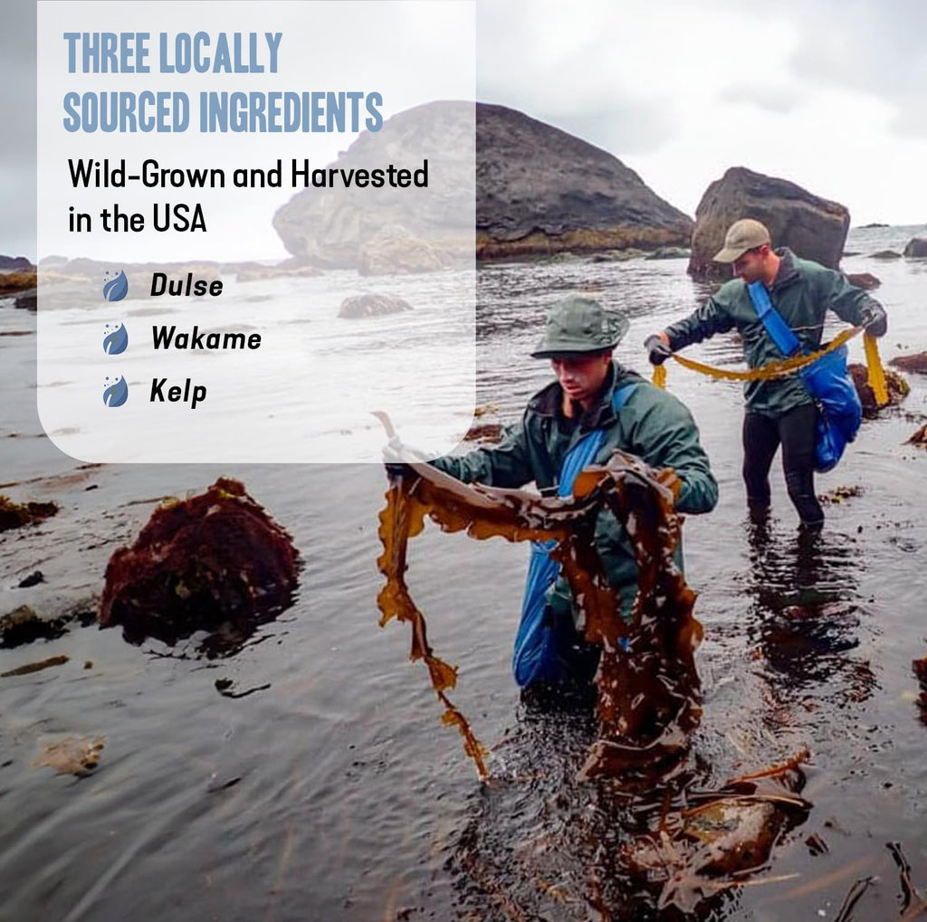 Dr. Cowan’s Garden Algas Marinas Salvajes - Polvo de Dulse, Wakame y Kelp - 20 Raciones