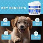 MEDii Pet Multivitamínico para Perros con Espirulina y 74 Minerales Orgánicos - 125 comprimidos