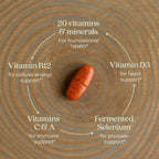New Chapter One Daily Multivitamínico para Hombres 55+