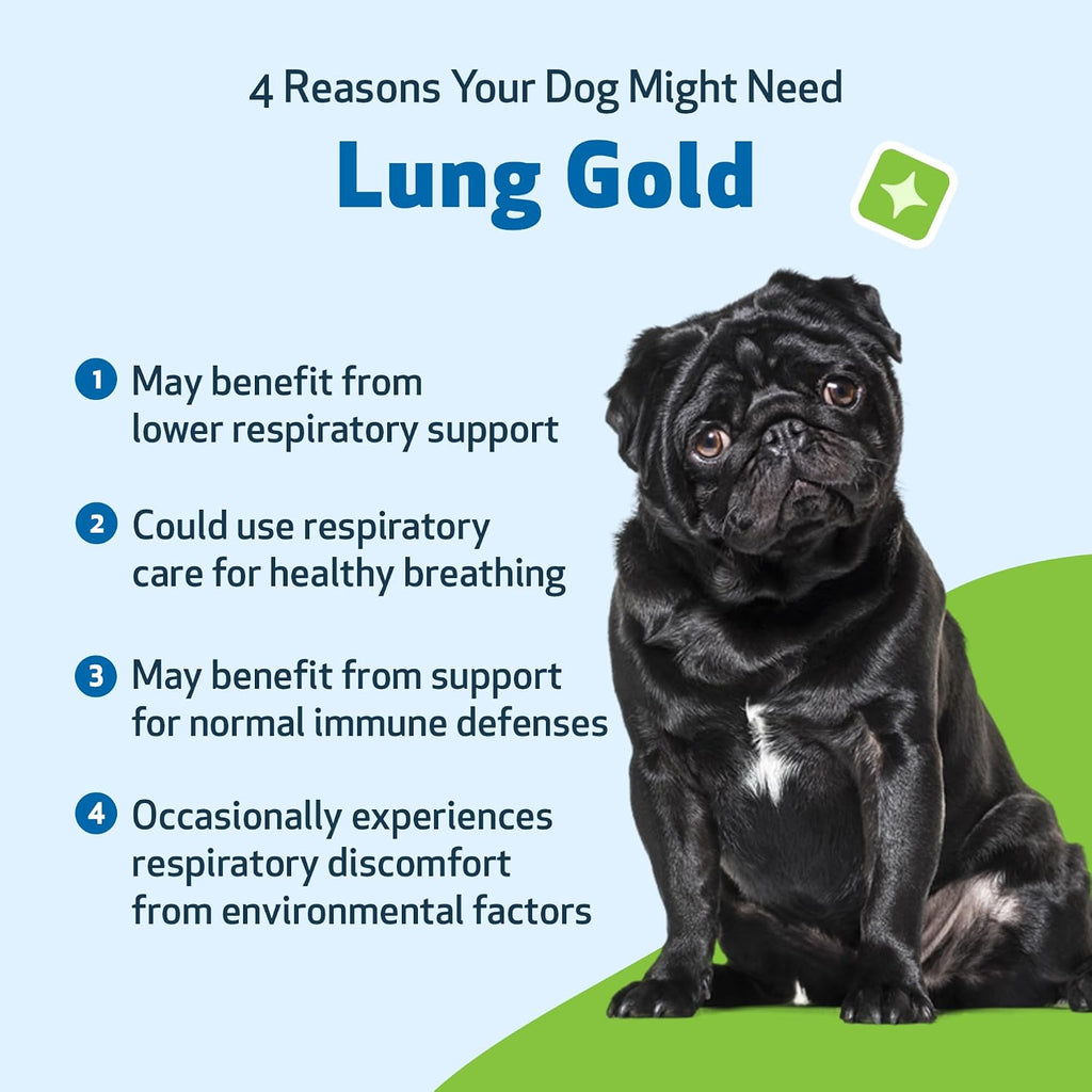 Pet Wellbeing Lung Gold para Perros – Apoyo Respiratorio Natural – 60 ml