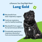 Pet Wellbeing Lung Gold para Perros y Gatos – Suplemento Herbal Natural para el Sistema Respiratorio, 18 ml