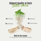 HerbsForever Melón Amargo Concentrado de Alta Potencia (10:1) - 60 Cápsulas Vegetales, 880mg