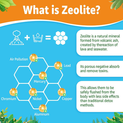 Gominolas de Zeolita para Niños y Adultos - – Zinc: contribuye a la protección de las células frente al daño – Image 4
