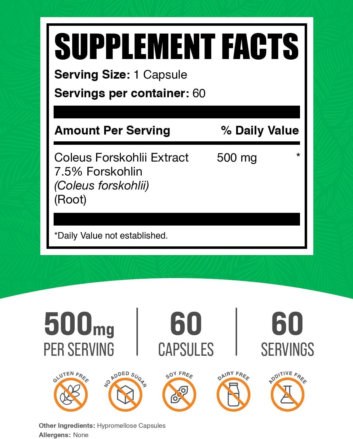 BulkSupplements.com Coleus Forskohlii Extract Cápsulas - Suplemento de Forskolina, 60 Cápsulas
