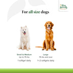 Terry Naturally Curacel Curcumin - Suplemento Antioxidante para Perros - 60 Cápsulas Blandas