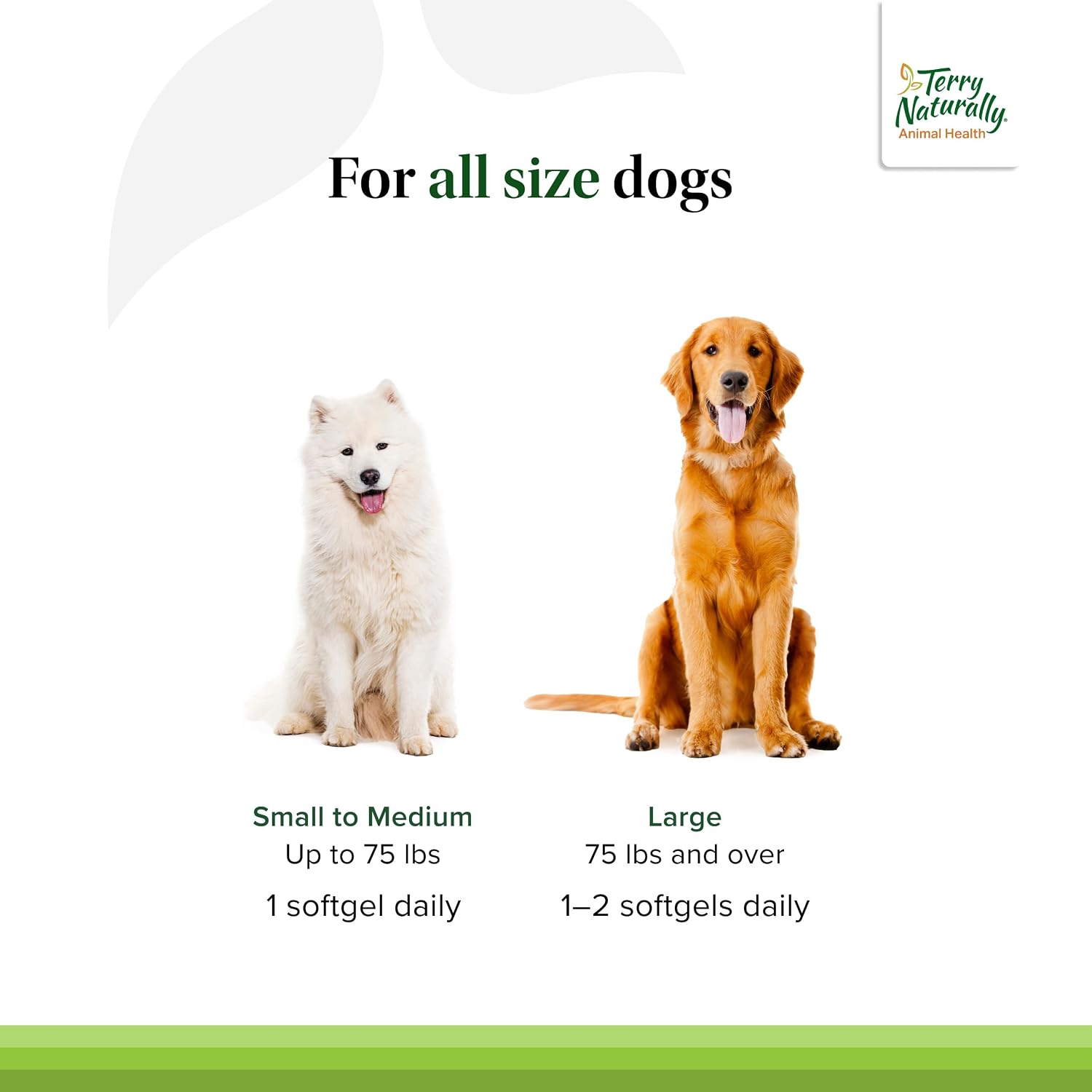 Terry Naturally Curacel Curcumin - Suplemento Antioxidante para Perros - 60 Cápsulas Blandas