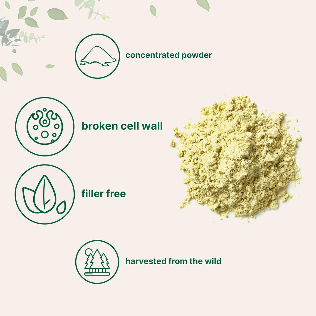 Polen de Pino en Polvo Puro - 170 g (6 oz) - Micro Ingredients