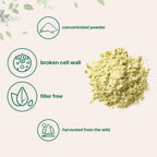 Polen de Pino en Polvo Puro - 170 g (6 oz) - Micro Ingredients