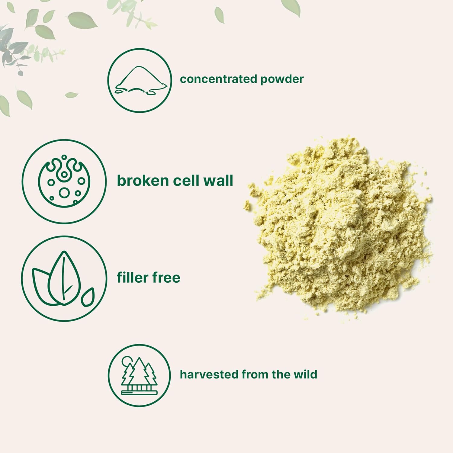Polen de Pino en Polvo Puro - 170 g (6 oz) - Micro Ingredients