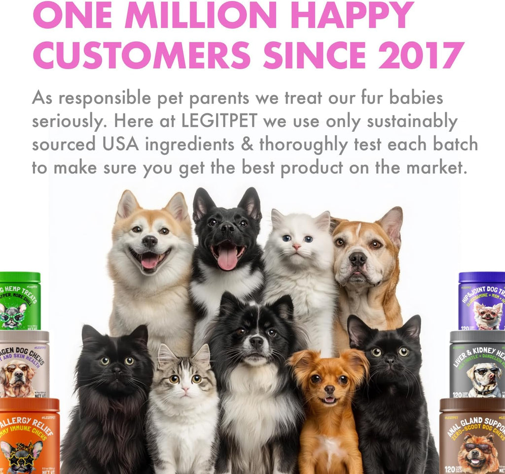 Probióticos para Perros con Enzimas Digestivas y Prebióticos - 30 Masticables Blandos