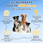 Multivitamínico en polvo para perros con probióticos, glucosamina y omega 3