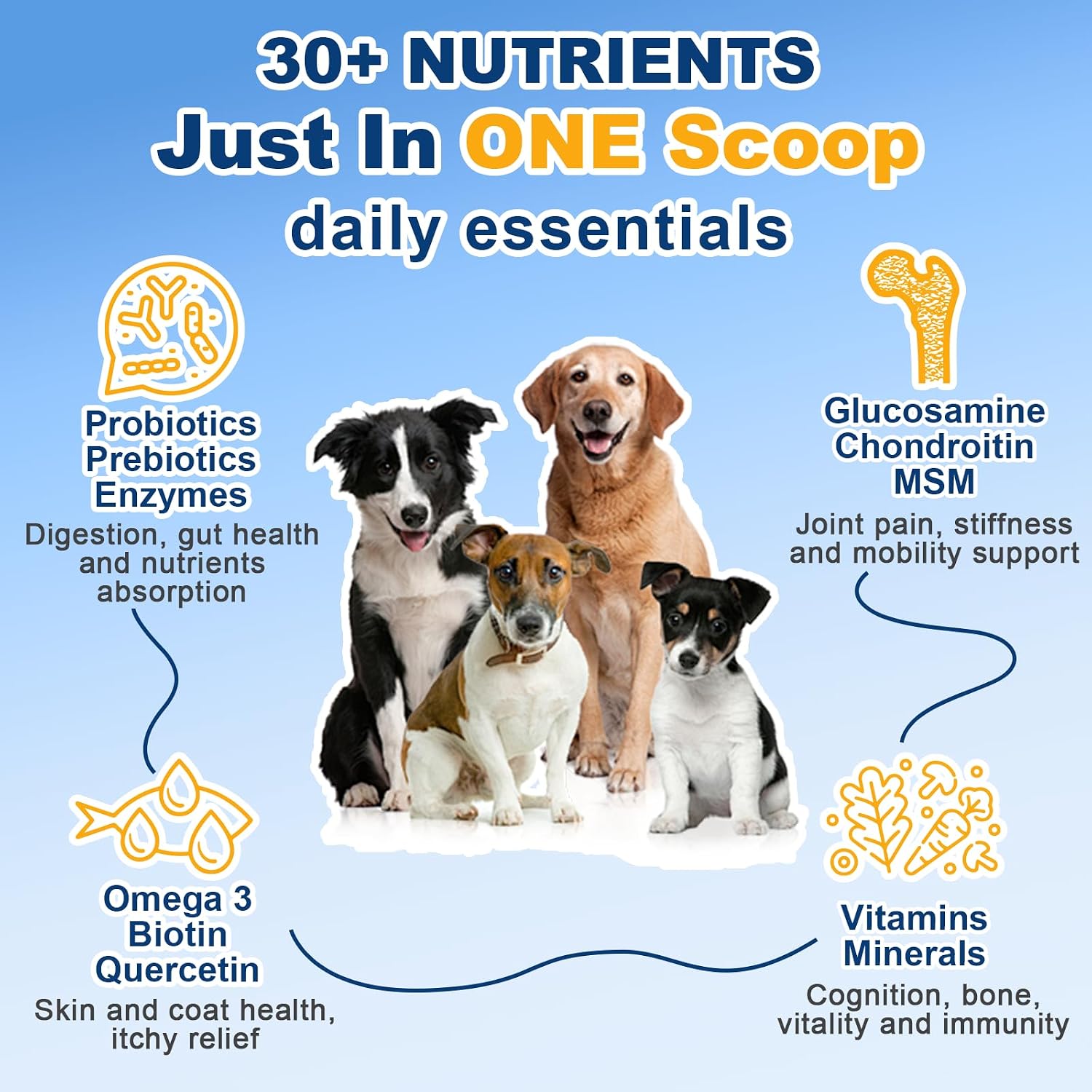 Multivitamínico en polvo para perros con probióticos, glucosamina y omega 3