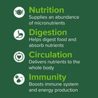 Vibrant Health, Green Vibrance Packets, Superalimento Vegano en Polvo Fácil de Transportar, 15 Paquetes